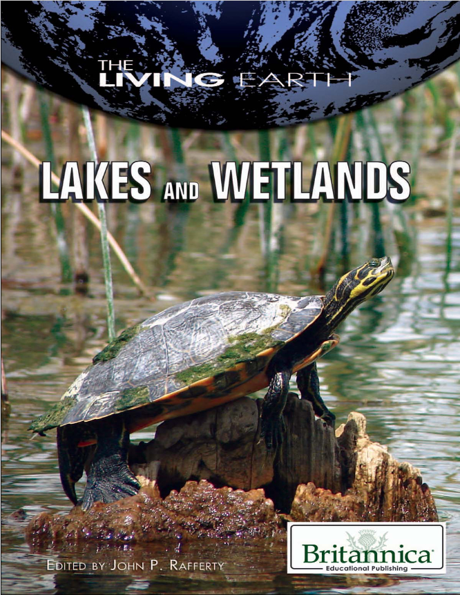 Lakes and Wetlands